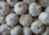 Garlic: Powerful health boost in a small package