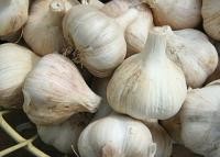 Garlic Reduces Alzheimer's Disease, Heart Disease Risk