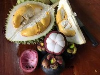 Thailand: The real business in tropical fruit is in logistics