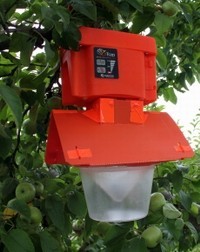Insect Trap Saves Labor, Monitors Data, Reduces Insecticide Use