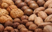FDA to Evaluate Risk of Salmonella in Tree Nuts