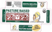 Colorado Firm Recalls Eggs for Possible Salmonella Contamination