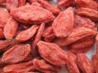 Neuroprotective goji berry offers new hope in preventing and treating Alzheimer's disease