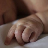 Baby foods made by firms lacking nutrients