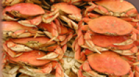 Waitrose in Cornish crab sold in Cromer row