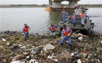 Over 2,200 dead pigs found in Chinese river prompting pollution alert