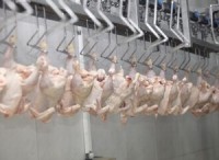 New Acting Food Safety Under Secretary Speaks on HIMP
