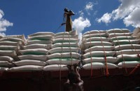 FAO expects more balanced food markets, less price volatility