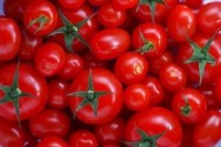 Soy and tomatoes work well together in preventing prostate cancer