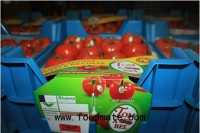Tomabel has new innovative approach for market