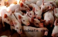 Tyson to launch farm audit for animal treatment