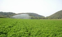 Herbafrost extends assortment of organic herbs