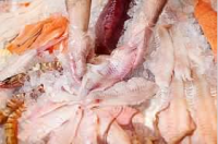 Thai Union Frozen Products considers South American market
