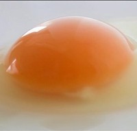 Egg whites help lower blood pressure