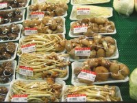 Danger in supermarket plastic wrap