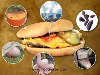 Gross! 7 Things Actually Found in Food