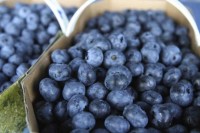 Blueberry industry expected to benefit from FTA between Canada & Europe
