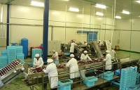 SonderJansen specialised in frozen red fruit