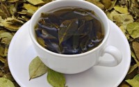Green tea catechins block the formation of plaques to help prevent Alzheimer's disease