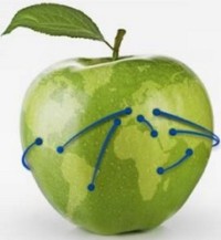Global cold logistics in need of specialised and global services