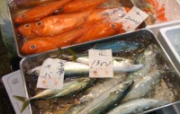 2013 Japanese seafood trends