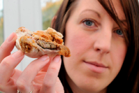 Diners find offal in KFC chicken at Hull restaurant