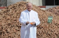 Genetically modified vegetables in Hipp and Demeter's baby foods