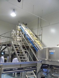 French firm Heng Sieng installs Ishida multihead weighers for sprouts packaging