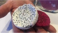 Freeze-dried fruit tech to help reduce food waste, increase incomes for farmers