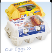 Government gives egg processor £490,000 to build £3M facility