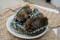 2 tons of toxic Chinese mitten crabs destroyed
