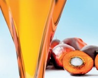 Benefits of red palm oil