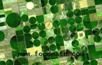 Food production could cause 29% of greenhouse emissions - study