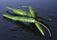 Bueno Foods Recalls Frozen Green Chile For Possible Listeria Contamination