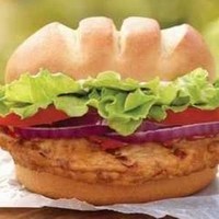 Burger King adds turkey option