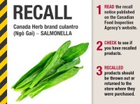 Canada herb brand Culantro recalled due to Salmonella