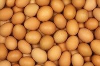 Eggs in nationwide 2010 recall had USDA mark of quality