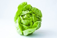 Poor Summer Predicted For Greenhouse Vegetables Industry
