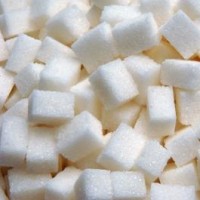 Cargill, Copersucar to establish sugar joint venture
