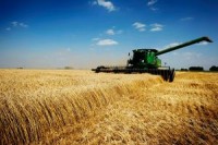 Grain Bulls Proved Right With Best Rally Since 2010: Commodities