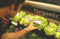 46% of organic produce sold in Canada contained some pesticides