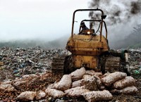 Authorities to tighten control over disguised Chinese potatoes