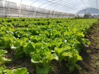 How does an organic farm create its own organic fertilizer?