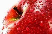 XEDASOL L apple wax: gloss, crunchiness and juiciness for longer