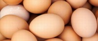 Man Dies After Eating 28 Raw Eggs