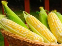 Slim-down summer foods