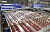 UNITEC started up new cherry sorting technologies