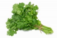 Buurma Farms, Inc. recalls fresh Cilantro due to possible health risk