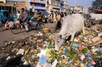 Save food campaign Asia-Pacific kicked off