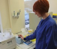 Food in Worcestershire schools tested for horsemeat